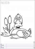 coloriage-canard-1